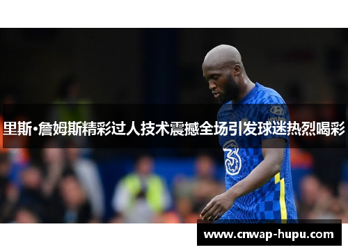 里斯·詹姆斯精彩过人技术震撼全场引发球迷热烈喝彩