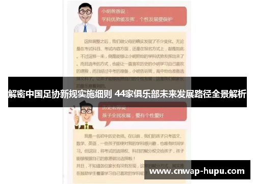 解密中国足协新规实施细则 44家俱乐部未来发展路径全景解析