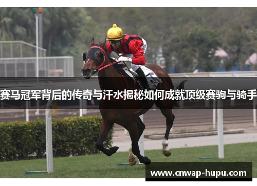 赛马冠军背后的传奇与汗水揭秘如何成就顶级赛驹与骑手