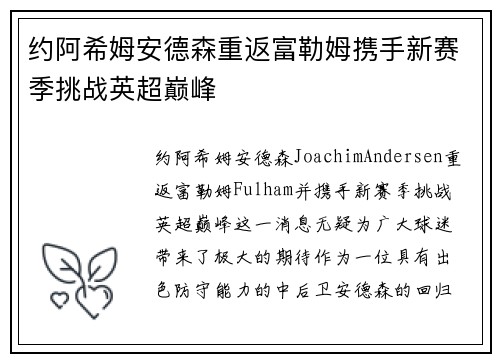约阿希姆安德森重返富勒姆携手新赛季挑战英超巅峰